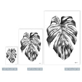 'Black Monstera Leaf' Canvas Wall Art by Laurie Duncan