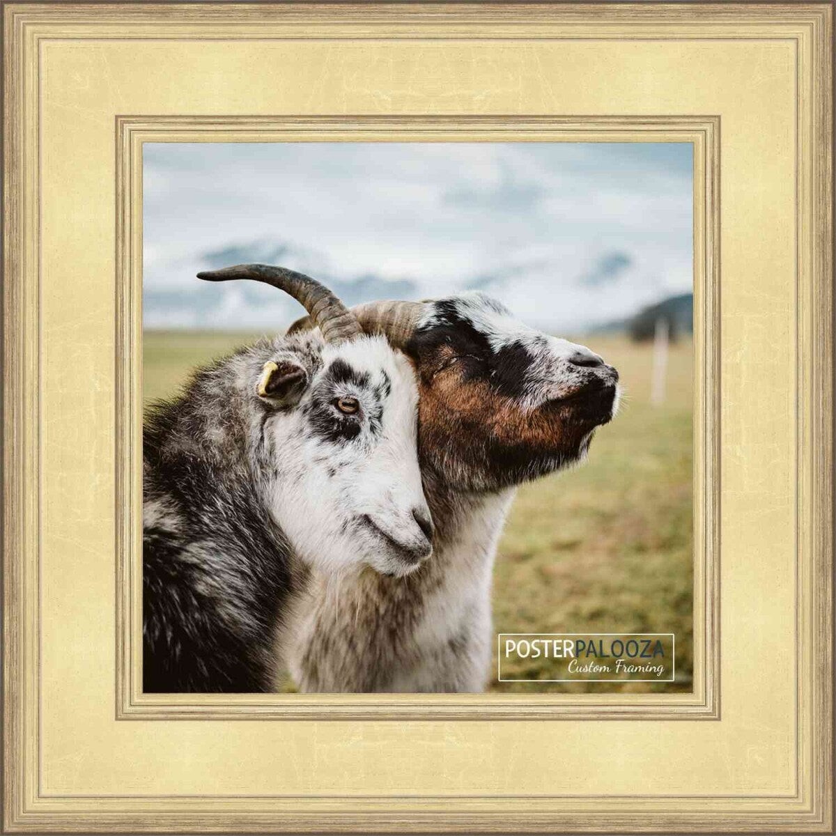 27x27 Traditional Gold Complete Wood Square Picture Frame with UV Acrylic, Foam Board Backing, & Hardware