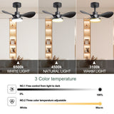 28 lnch Ceiling Fan with Lights Remote Control,Small Ceiling Fan Flush Mount - N/A