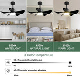 28 lnch Ceiling Fan with Lights Remote Control,Small Ceiling Fan Flush Mount - N/A