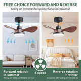 28 lnch Ceiling Fan with Lights Remote Control,Small Ceiling Fan Flush Mount - N/A