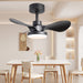 28 lnch Ceiling Fan with Lights Remote Control,Small Ceiling Fan Flush Mount - N/A