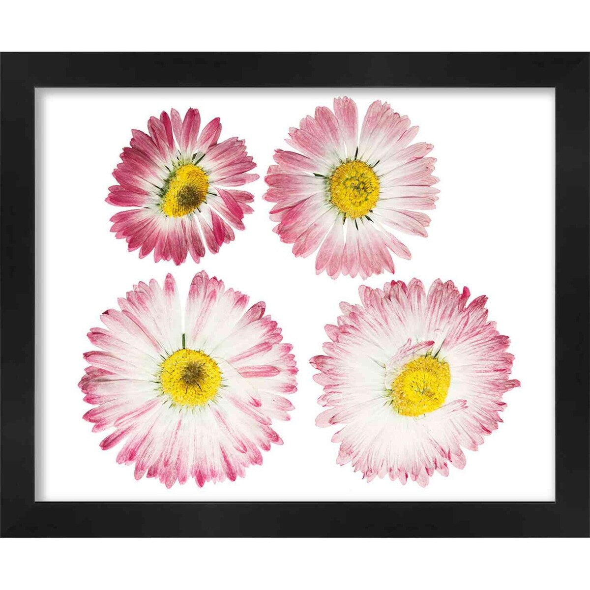 29x23 Black Shadowbox Frame - Interior Size 29x23 - Black Frame Is Made to Display Items Up To 1.75 In Deep