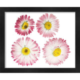 29x23 Black Shadowbox Frame - Interior Size 29x23 - Black Frame Is Made to Display Items Up To 1.75 In Deep