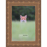 29x23 Ornate Gold Complete Wood Picture Frame with UV Acrylic, Foam Board Backing, & Hardware