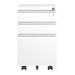 3 Drawer Mobile File Cabinet with Lock Metal Filing Cabinets for Home Office Organizer Letters/Legal/A4 Fully Assembled