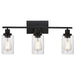 3 Light Wall Sconce Lighting with Clear Glass