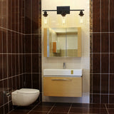 3 Light Wall Sconce Lighting with Clear Glass