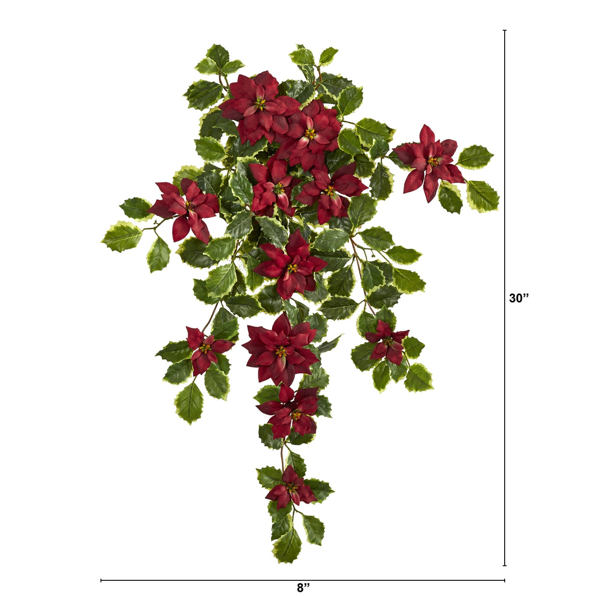 30" Poinsettia and Variegated Holly Plant (Set of 2) (Real Touch)