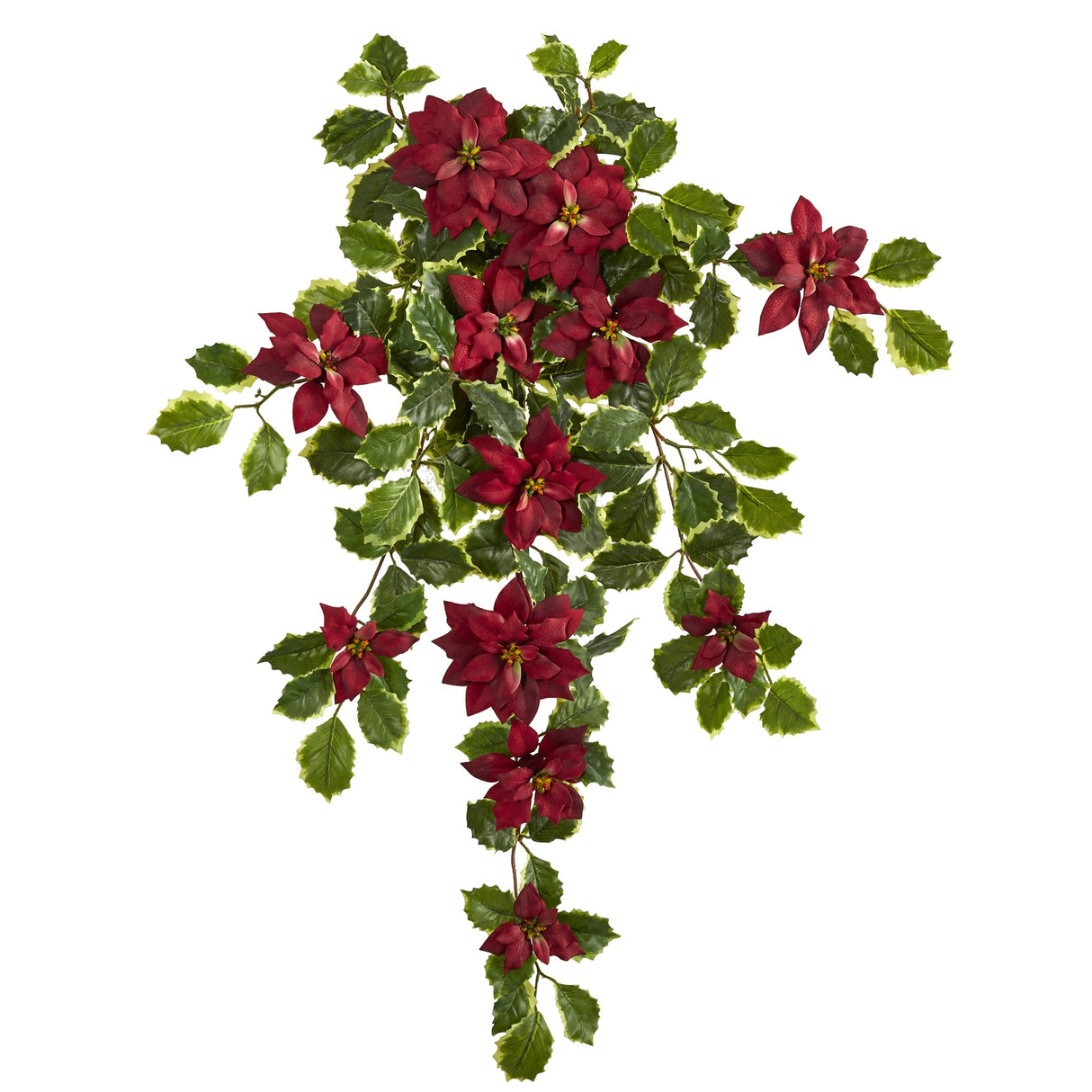 30" Poinsettia and Variegated Holly Plant (Set of 2) (Real Touch)