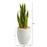 30" Sansevieria Artificial Plant in White Planter - 13"