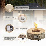 30,000 BTU Outdoor Fire Pits Patio Propane Gas Fire Pit for Outside