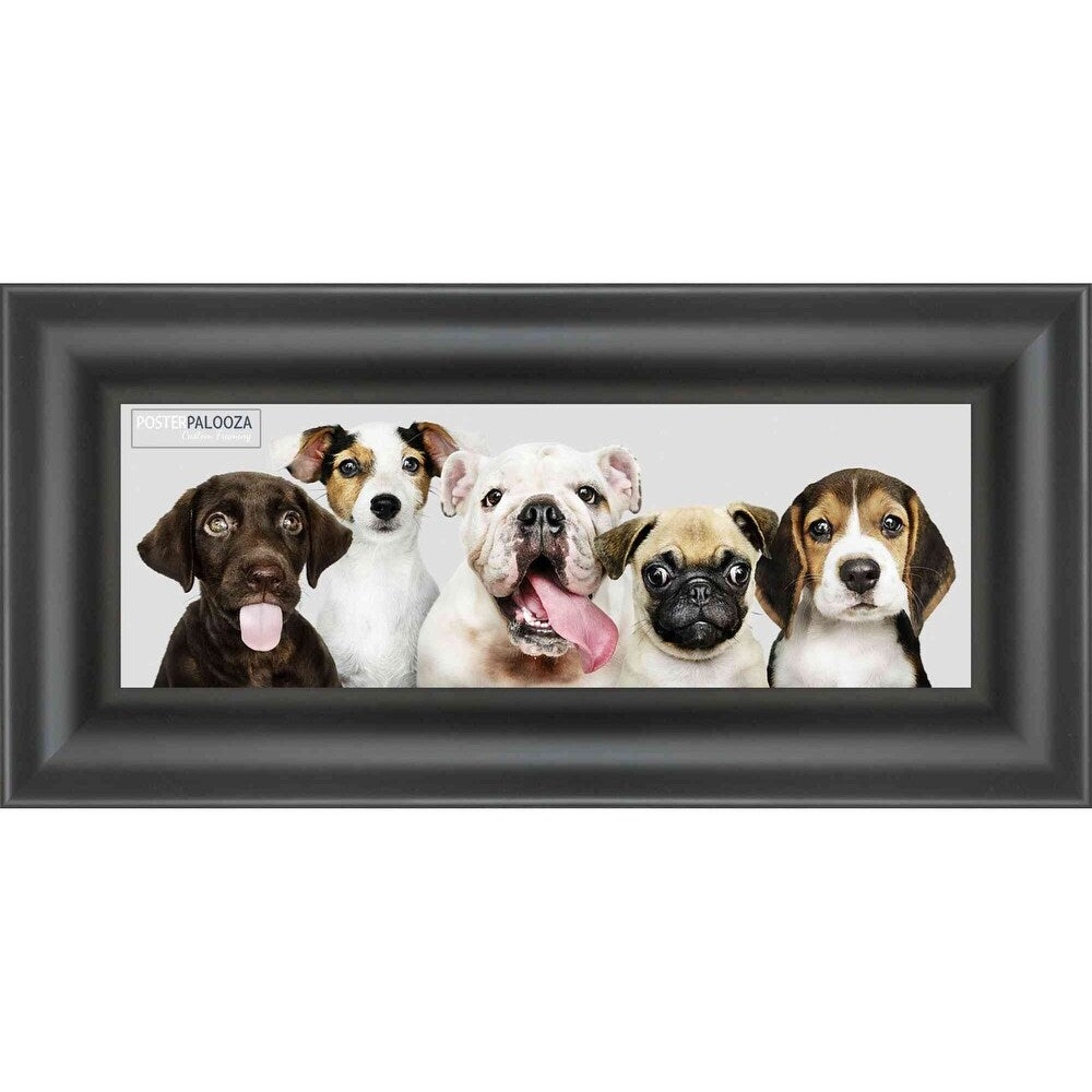 30x10 Contemporary Black Complete Wood Panoramic Frame with UV Acrylic, Foam Board Backing, & Hardware