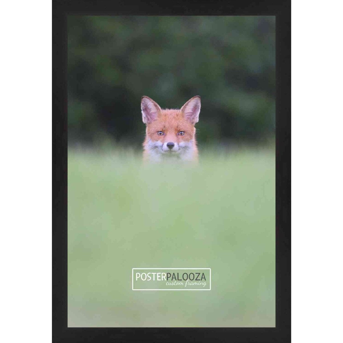 30x25 Lacquer Black Complete Wood Picture Frame with UV Acrylic, Foam Board Backing, & Hardware