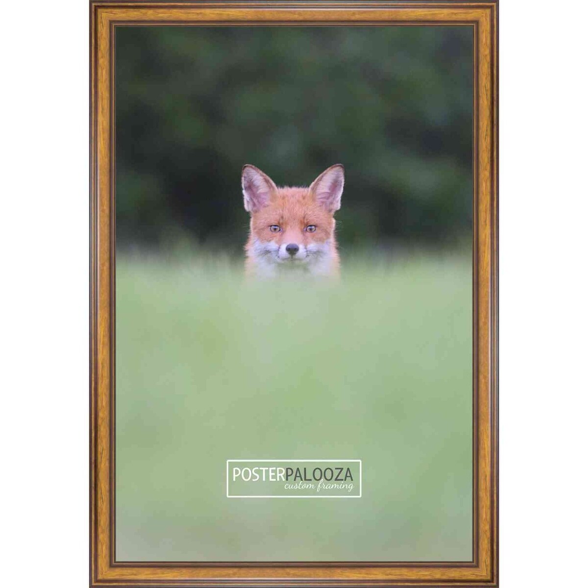 30x36 Traditional Walnut Complete Wood Picture Frame with UV Acrylic, Foam Board Backing, & Hardware