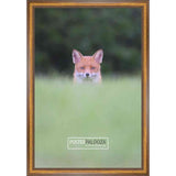30x36 Traditional Walnut Complete Wood Picture Frame with UV Acrylic, Foam Board Backing, & Hardware