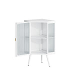 31.5 in. H Metal Floor Corner Cabinet with Adjustable Shelf