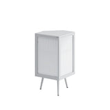 31.5 in. H Metal Floor Corner Cabinet with Adjustable Shelf