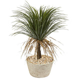 32" Pony Tail Palm Artificial Plant in White Planter