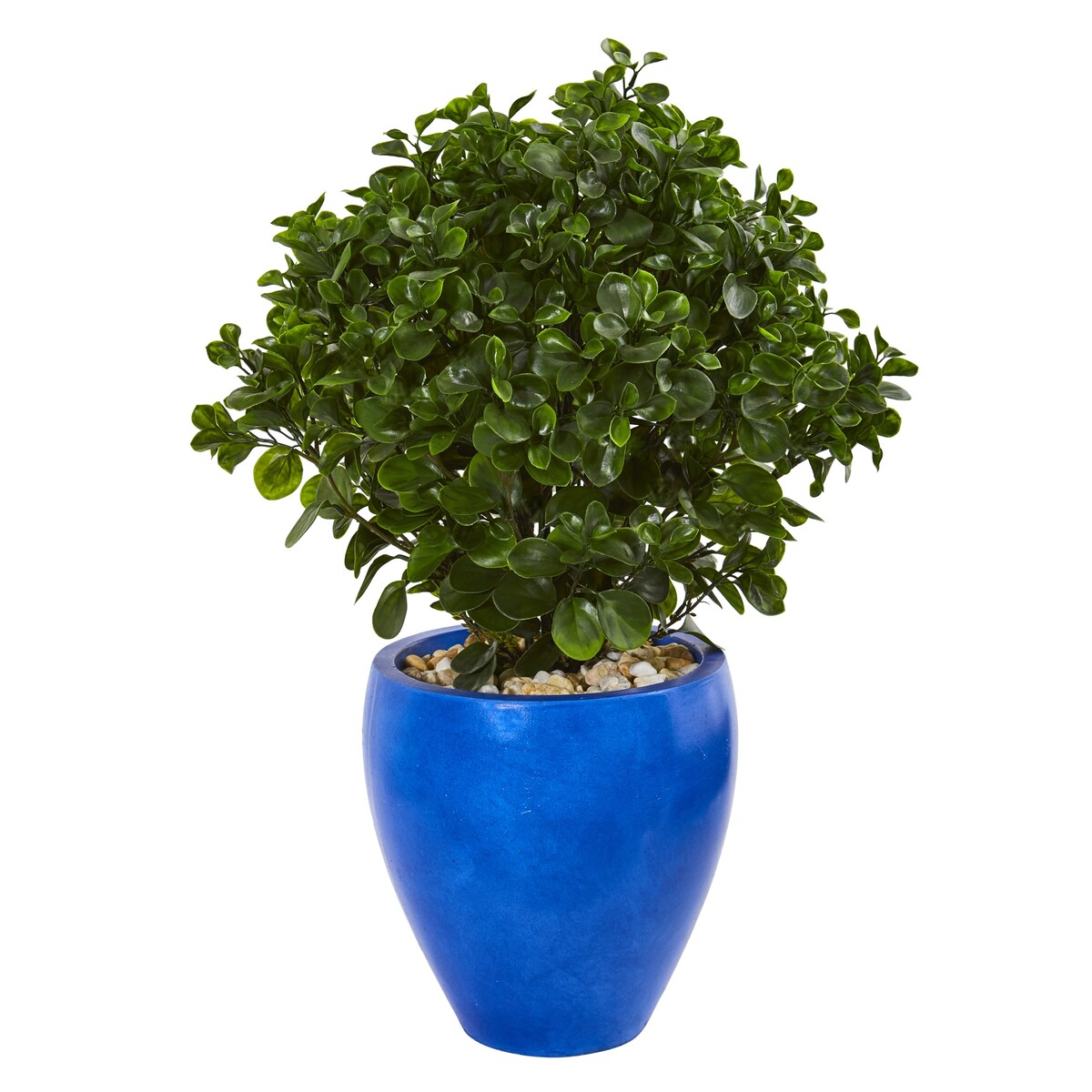 32" Peperomia Artificial Plant in Blue Planter UV Resistant (Indoor/Outdoor) - 32