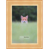 32x24 Contemporary Gold Complete Wood Picture Frame with UV Acrylic, Foam Board Backing, & Hardware