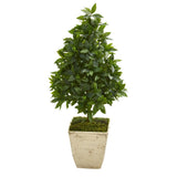 34" Sweet Bay Cone Topiary Artificial Tree in Country White Planter