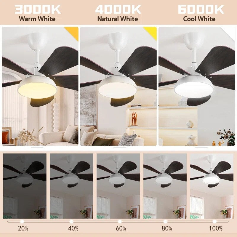 36 in. Dimmable LED Indoor/Outdoor White Smart Ceiling Fan with Light and Remote Without bulbs - N/A
