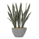 D&W Silks 36-inch Senseveria Plant in Oval Grey Resin Planter - Green