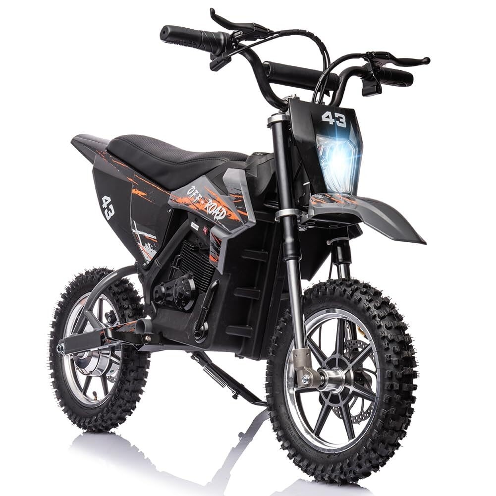 36V Electric Dirt Bike for Kids