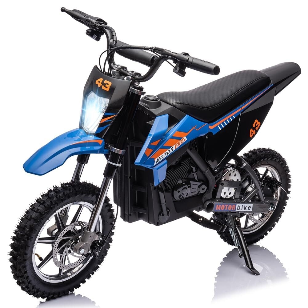 36V Electric Dirt Bike for Kids