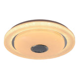 36W LED Music Ceiling Light With Bluetooth Speaker For Kids Room Bedroom