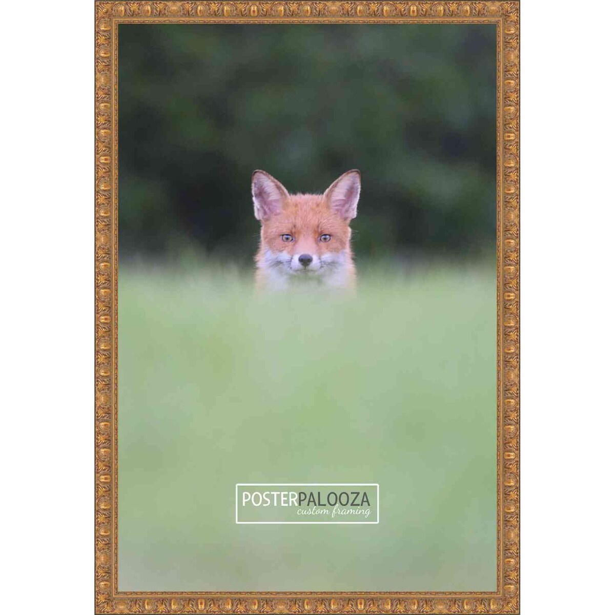 36x16 Ornate Antique Gold Complete Wood Panoramic Frame with UV Acrylic, Foam Board Backing, & Hardware