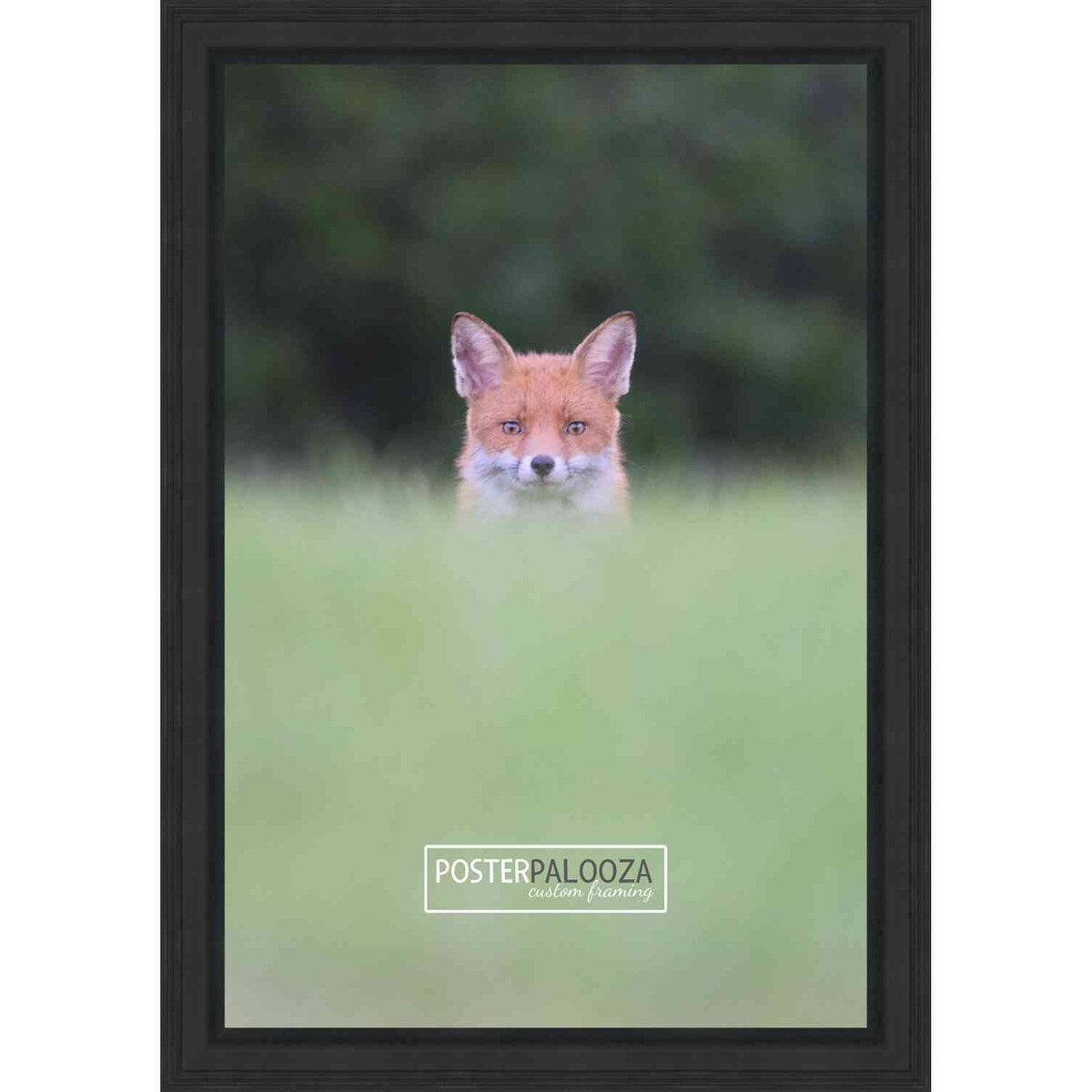 36x24 Traditional Black Complete Wood Picture Frame with UV Acrylic, Foam Board Backing, & Hardware