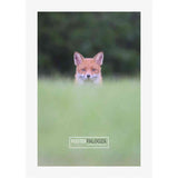 36x28 Contemporary White Complete Wood Picture Frame with UV Acrylic, Foam Board Backing, & Hardware