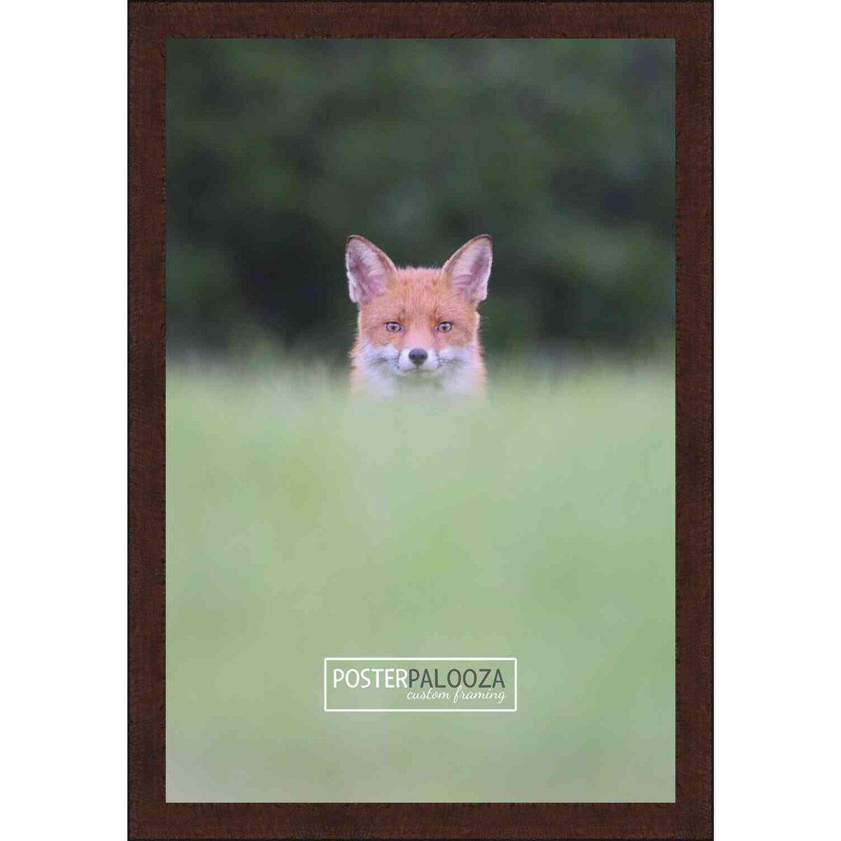 36x28 Traditional Mahogany Complete Wood Picture Frame with UV Acrylic, Foam Board Backing, & Hardware