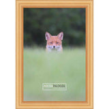 36x30 Contemporary Gold Complete Wood Picture Frame with UV Acrylic, Foam Board Backing, & Hardware