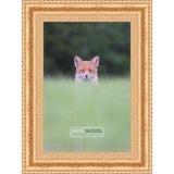 38x26 Traditional Gold Complete Wood Picture Frame with UV Acrylic, Foam Board Backing, & Hardware