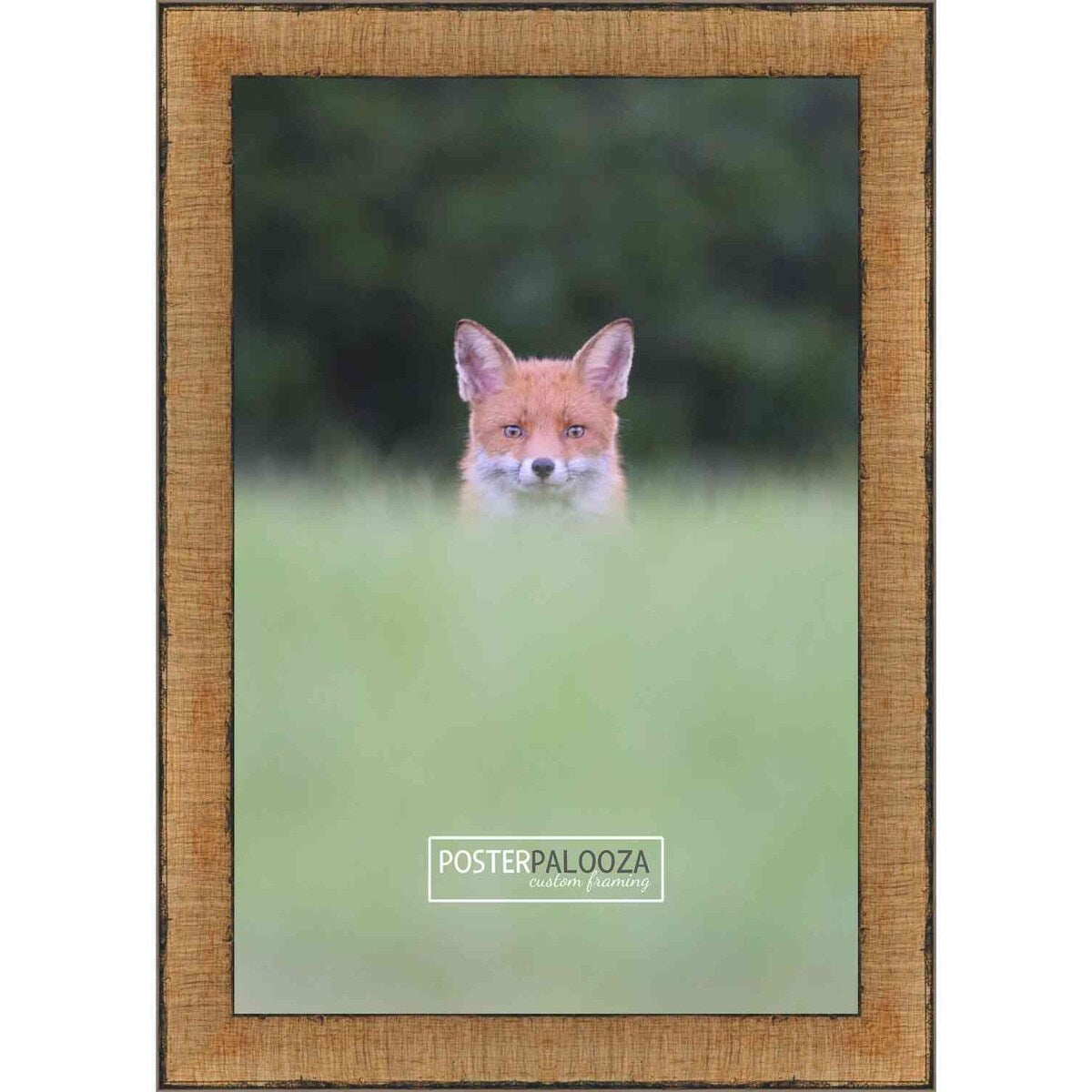 38x26 Traditional Gold Complete Wood Picture Frame with UV Acrylic, Foam Board Backing, & Hardware