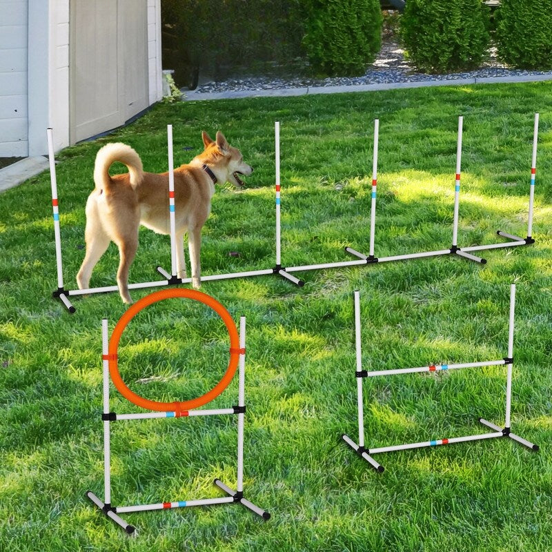 3PC Dog Agility Equipment Set, Obstacle Course Exercise for Dog