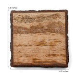 4-Pack Mango Wood Coasters with Bark Edges 4” Square