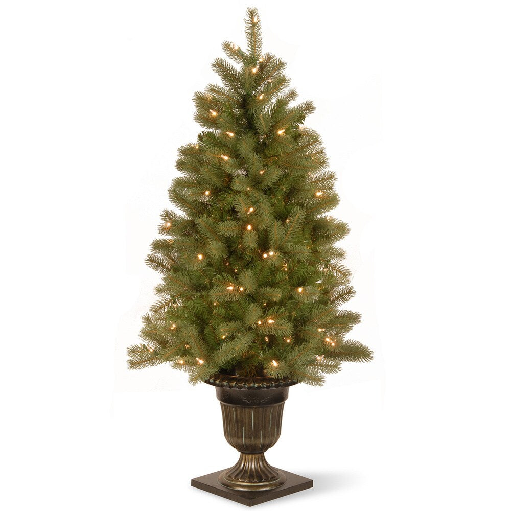 National Tree Company 4 ft. Downswept Douglas Fir Entrance Tree with Clear Lights - 4 Foot