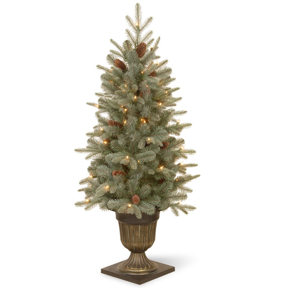National Tree Company 4 ft. Jersey Fraser Fir Entrance Tree with Clear Lights