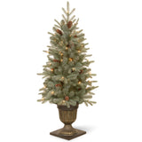 National Tree Company 4 ft. Jersey Fraser Fir Entrance Tree with Clear Lights