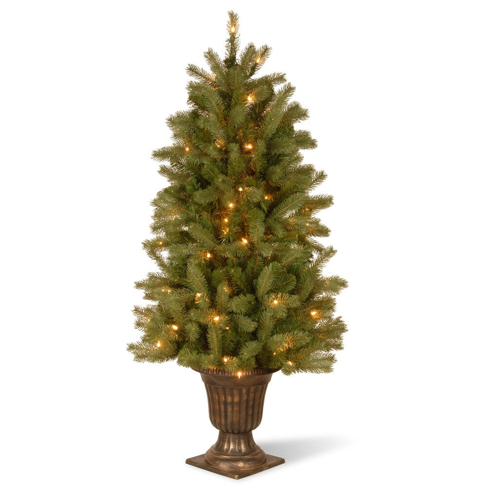 National Tree Company 4.5-foot Downswept Douglas Fir Entrance Tree with Clear Lights