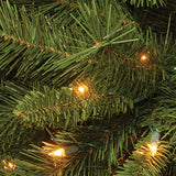 National Tree Company 4.5 ft. Winchester Pine Tree with Clear Lights