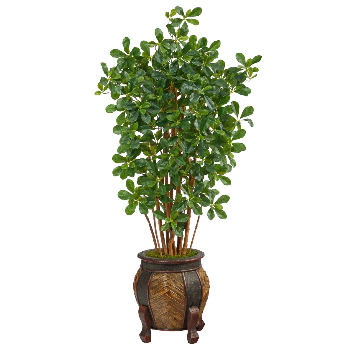 4.5' Black Olive Artificial Tree in Decorative Planter - 15"
