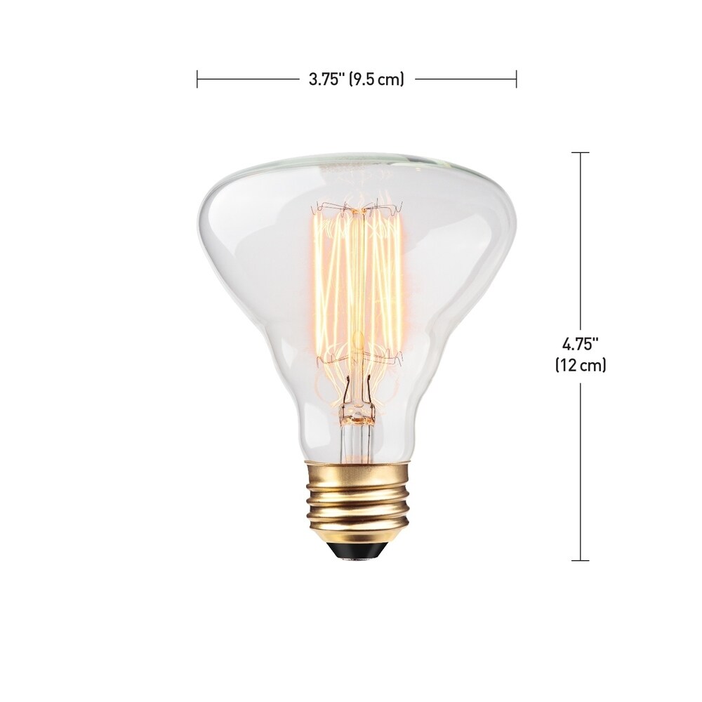 40W Designer Vintage Edison Labo Incandescent Light Bulb, E26