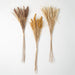 41"H Sullivans Dried Wheat Bush - Set of 3, Multicolored - 4"L x 2.5"W x 41"H