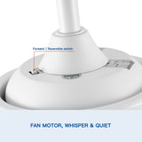 44" Ceiling Fan Light with Remote Control