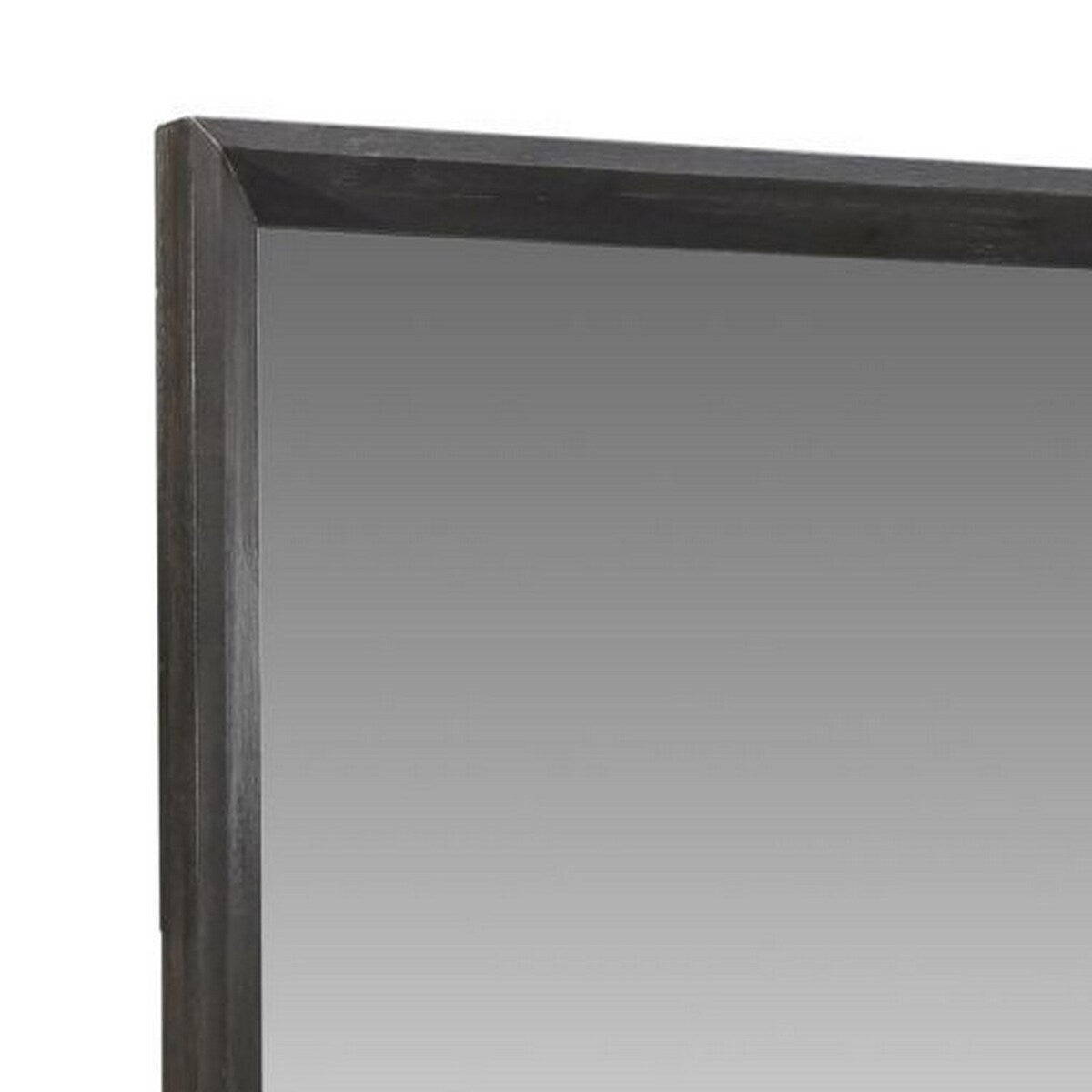 48 Inch Rectangular Wooden Frame Beveled Mirror, Gray